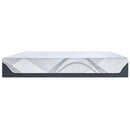 Tempur-Pedic Tempur-ProSense 2.0 Soft 12" Mattress (Twin) IMAGE 5