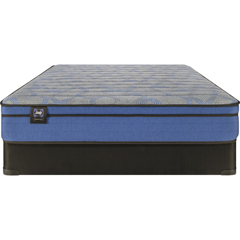 Sealy Rae Firm Euro Top Mattress (King) IMAGE 6