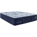  Stearns & Foster Ellaria Firm Euro Top Mattress (Queen) IMAGE 1